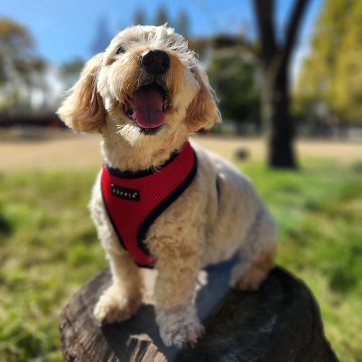 8deef197 91b5 478a b67d 2e769e807901 1762404952049