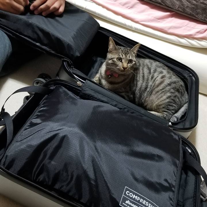 8deefab5 7ab9 40d8 8064 c121ec5f1011 1687792986426