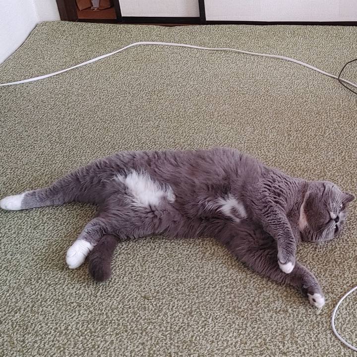 8deefd8e e009 48d4 a067 62db0e600812 1715120936820