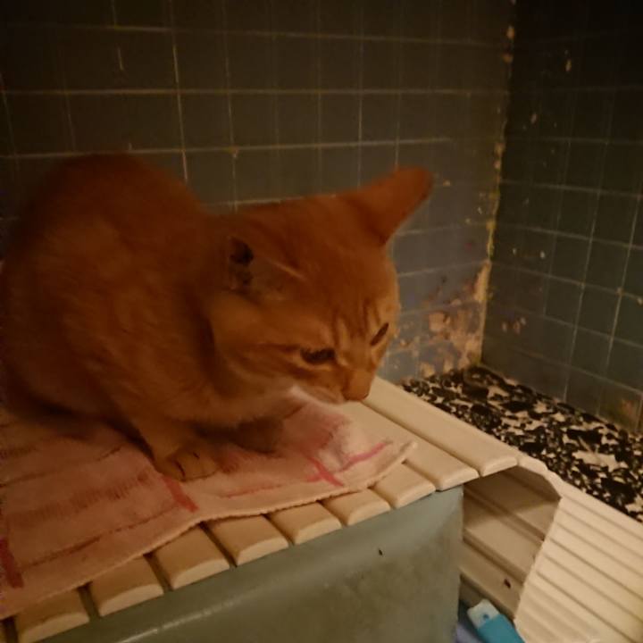 8def061a 7d2c 43e6 ac64 2ed2c5577c4c 1635242978375