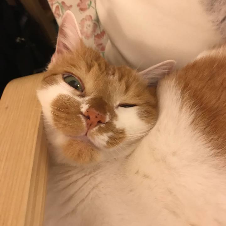 8def4c15 5bec 467e b4ad 9b4ad4d11e02 1557050766602