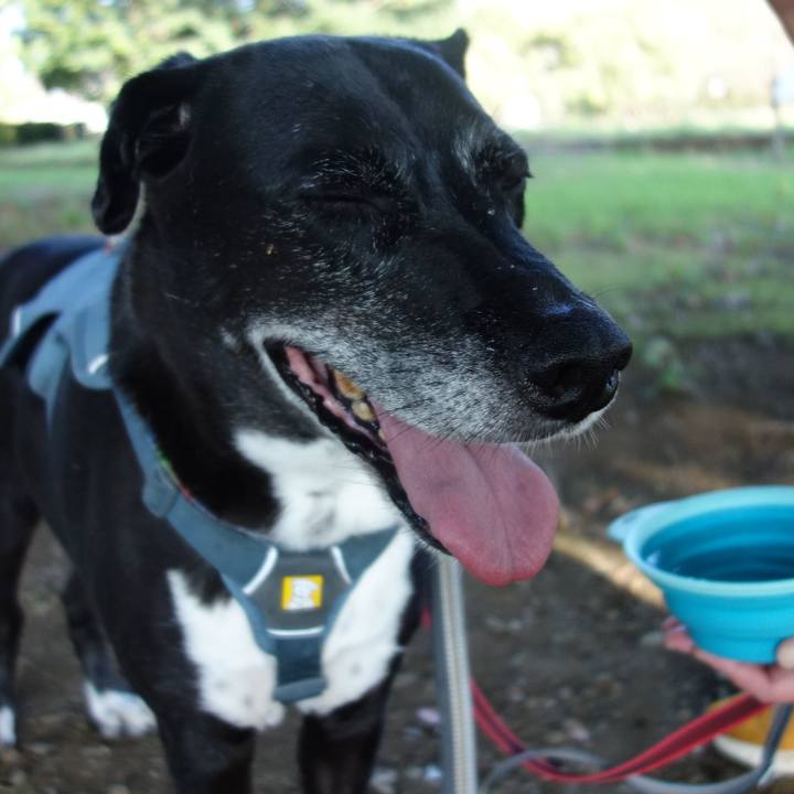 8def5192 abf5 4d69 a832 2b3248764600 1726011654407