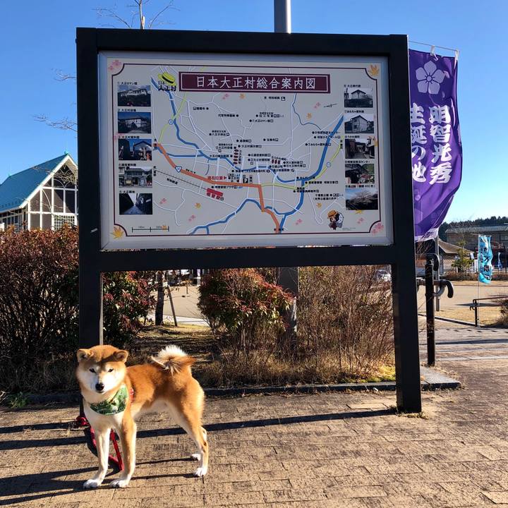 8def51a8 3d8d 43f3 a7f8 fa6f5fb8ac02 1547023708209