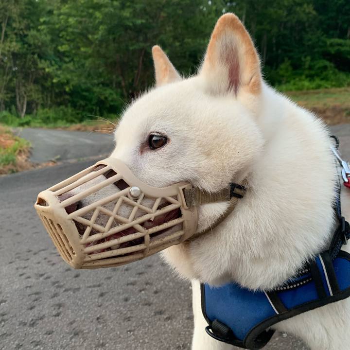 8def646d a091 4a67 813c f9f9c8c4f0ec 1627243912153