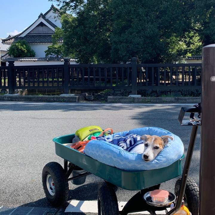 8defbe10 13b7 467d 8c3f 49f715b6fea7 1632541641782