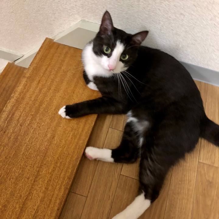 8df0145e b324 45fe 9ec6 4ae5e0fbe11d 1528978056007