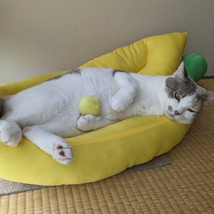 8df07d8f bfbd 45de 9ccd 0ae03358c89b 1686216487145