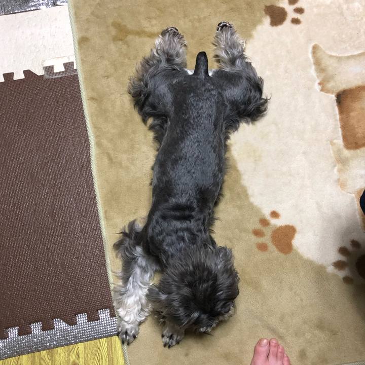 8df0eaae 4e73 4ec8 8298 6e26ab7ea679 1558612918244