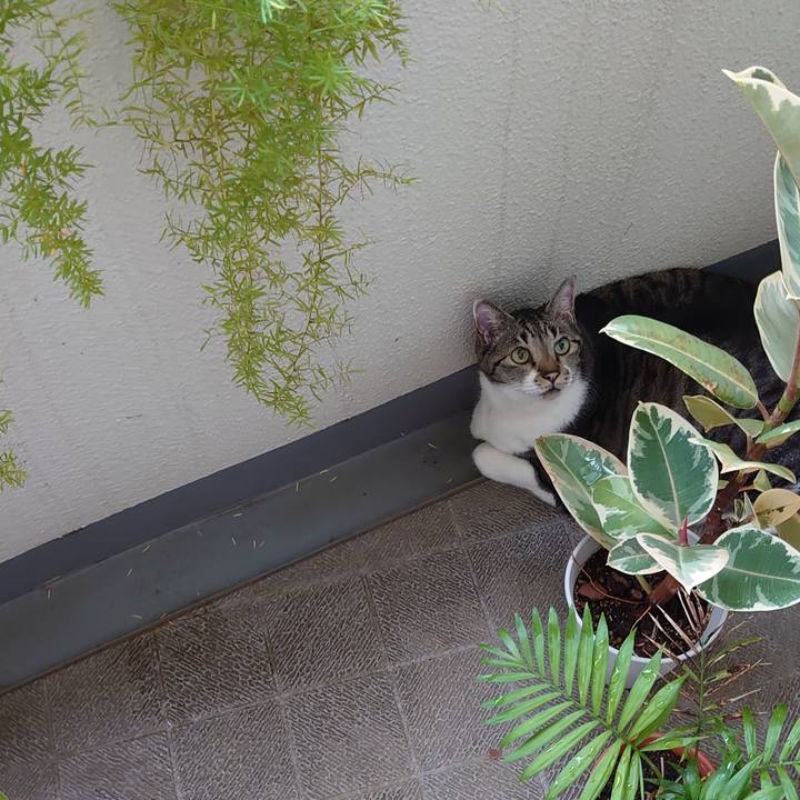 8df0ebdd f535 4d74 8e37 2eed1e526049 1695429937573