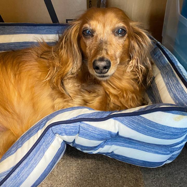 8df1130c 7f73 4927 860e 465ad07874b5 1591329493390