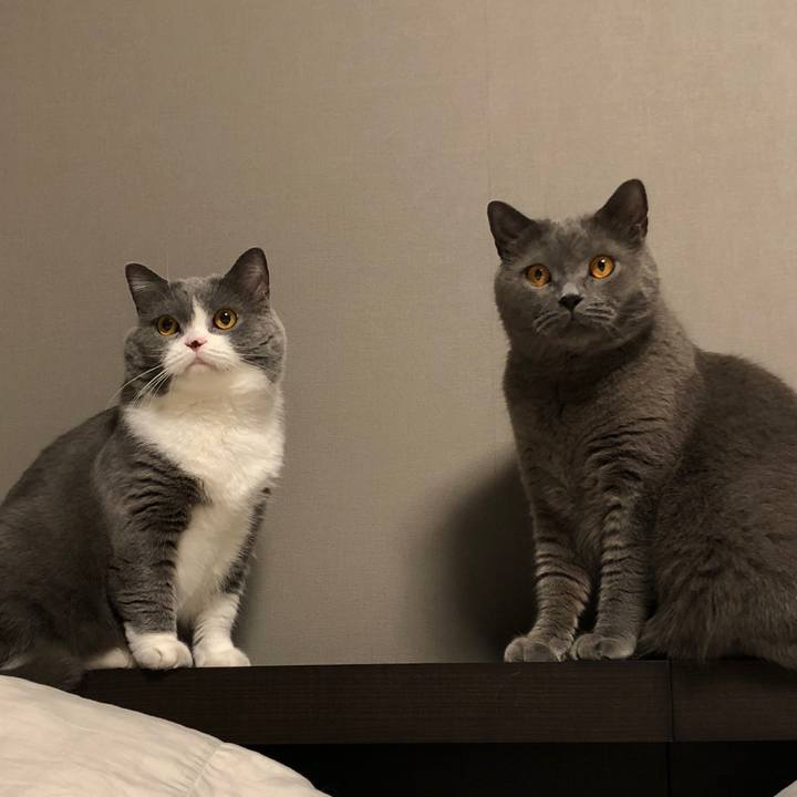 8df14d36 87e9 43c4 bead c8790e4b33be 1526824392621