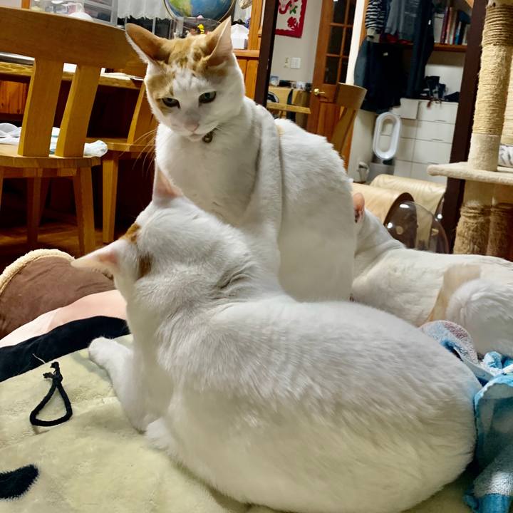 8df16d3f 7089 4f37 b991 1c25285f8591 1581834946619