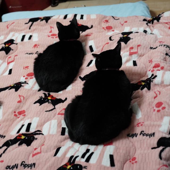 8df1954c b3df 411b 8367 41034d971560 1575629115737