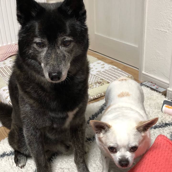 8df19556 aba2 4fc6 89ae c0e4b70c168f 1631940203813