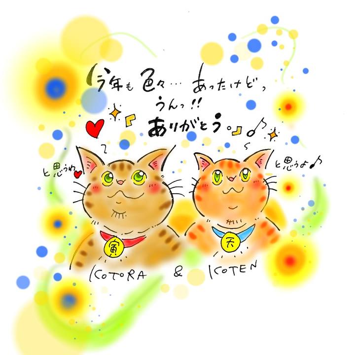 8df1a465 3dbe 4ebf 9ad8 f7253ec1e691 1577739972822