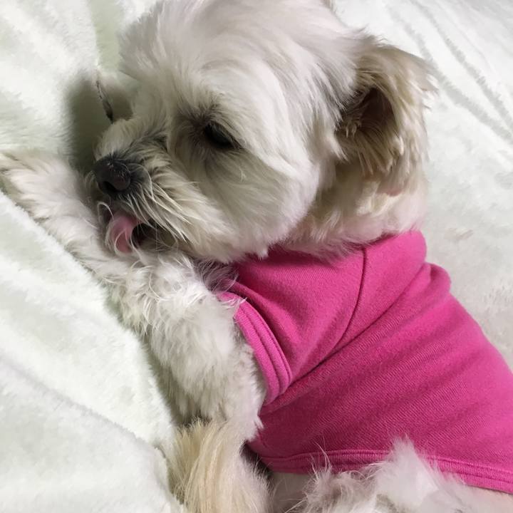 8df1acf4 2b8c 4f51 9d0c 0061f6e40609 1515236121672