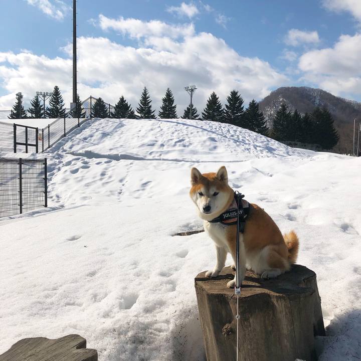 8df1ec18 a865 41b8 9522 a9210c0f353e 1584492792496