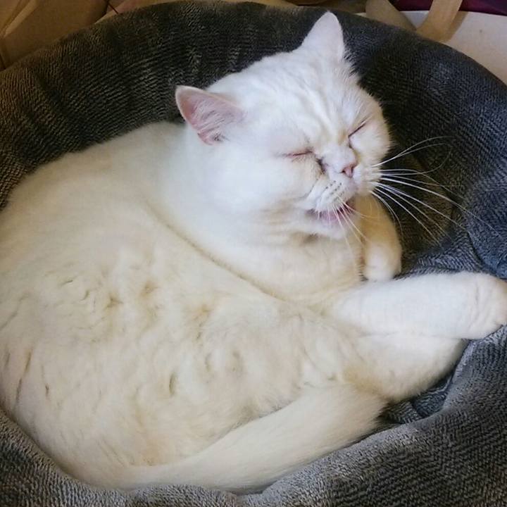 8df1fe4f e1ca 4c2b a556 5c1013d42e47 1512947619512