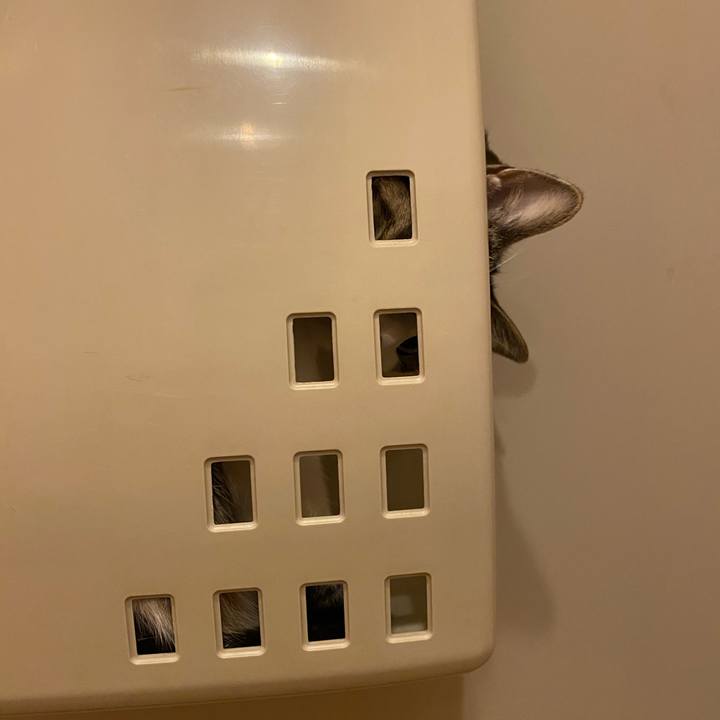 8df27171 31df 4990 89cc 3d67f9fb883c 1587252117131