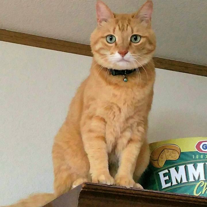 8df2819d c38f 49c9 a295 3f3badbc91a4 1560729803760