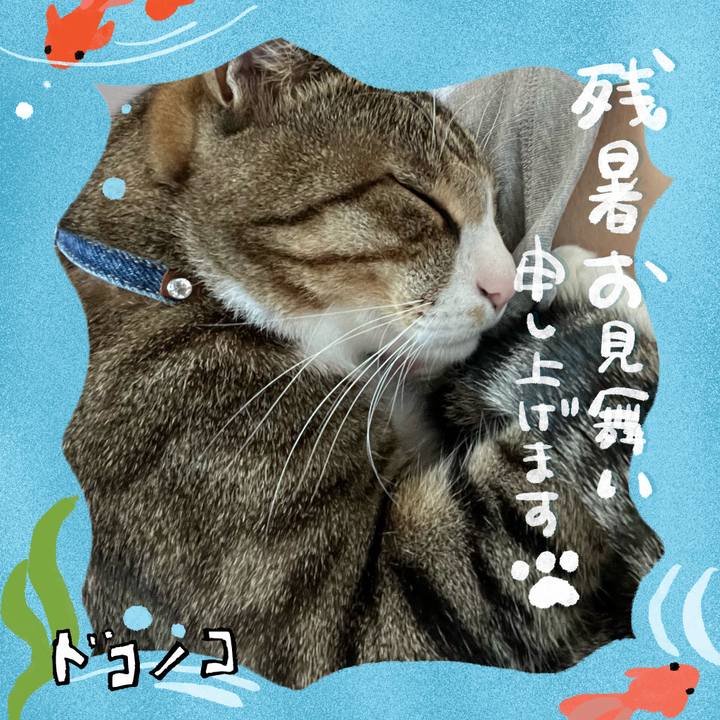 8df293e5 7253 4db3 91b2 3d8f500ab8f6 1723619107765