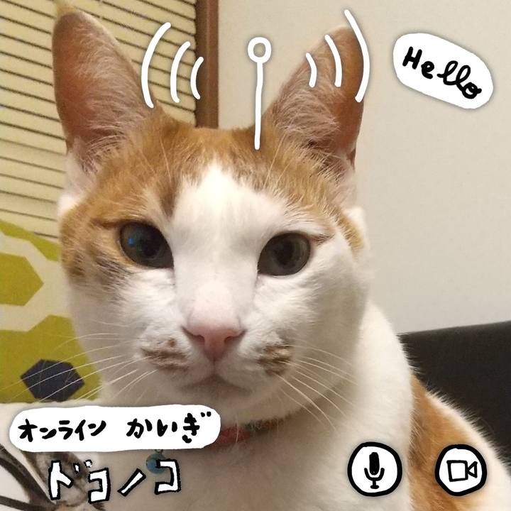 8df2a101 ee82 4c11 9db7 655a1d353554 1590681373917