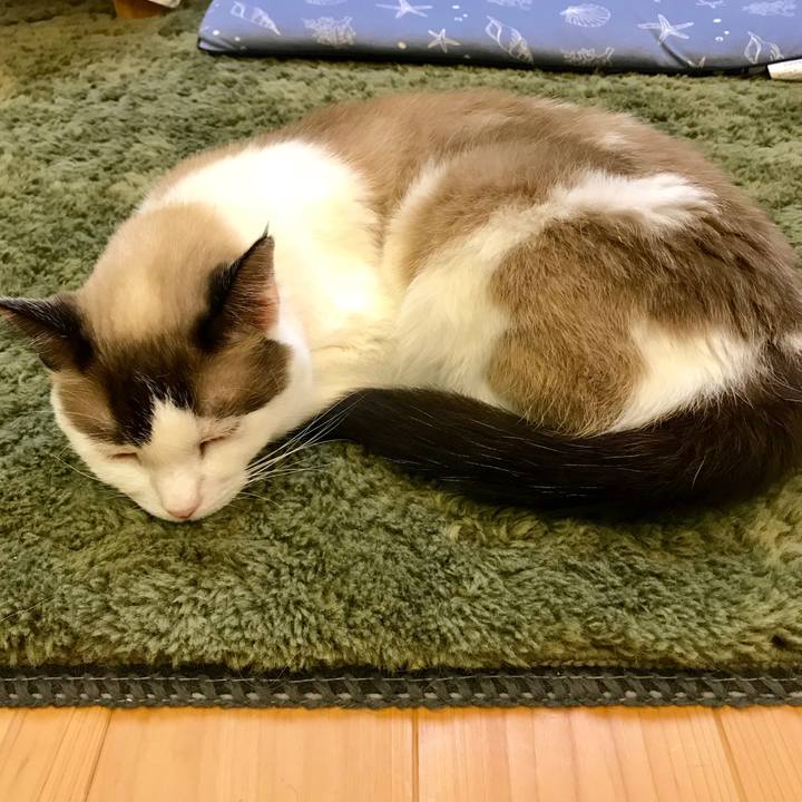 8df2bb3c f670 4c7c a1f7 c909b9008108 1537698171097