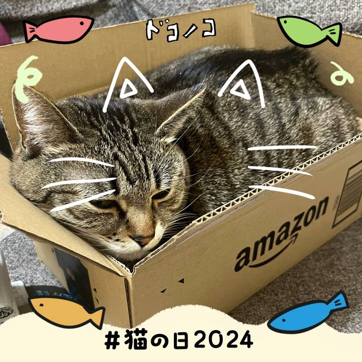 8df2c32f 73bb 417f 89f1 a871c0686287 1708590438471