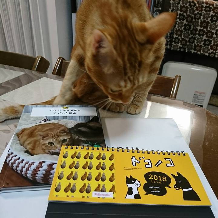 8df2ca92 859e 4ca7 b4ed 1d2b163719b0 1510920815033