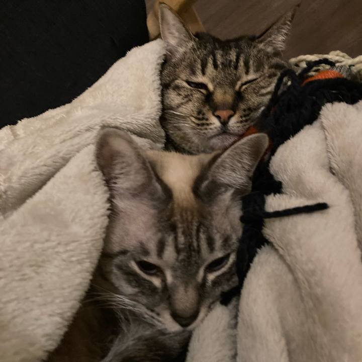 8df2da28 9373 48a6 9285 dec9b410cb38 1676555453136