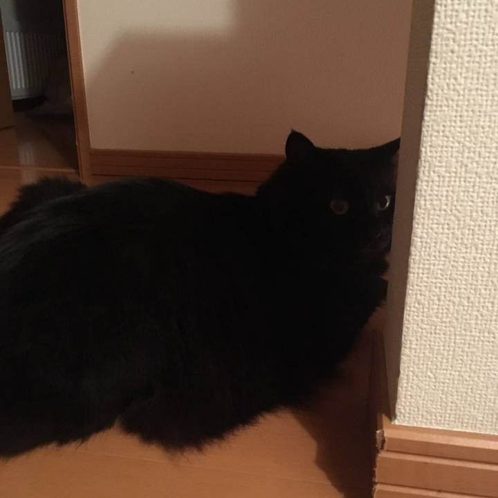 8df2f19e 6860 4ea2 ba35 efb68172f1fd 1531054625401