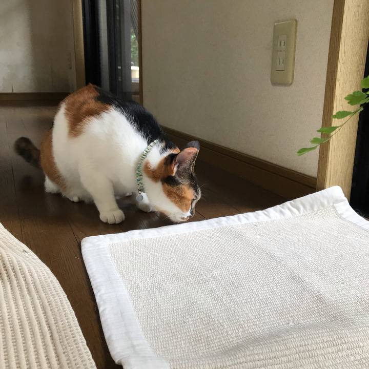 8df2fa6f d3d9 4dbb 8ec5 d4655a1cbb8f 1661448567688