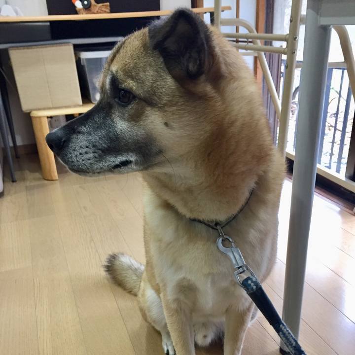 8df333e9 4e3a 49dc b1e6 ecb82ac3d2f1 1514283514753