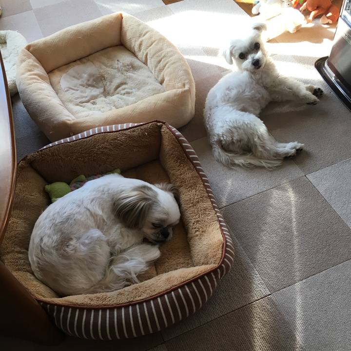 8df340e6 8e5c 469f 82ae 9ce5e2c630e0 1549066495242