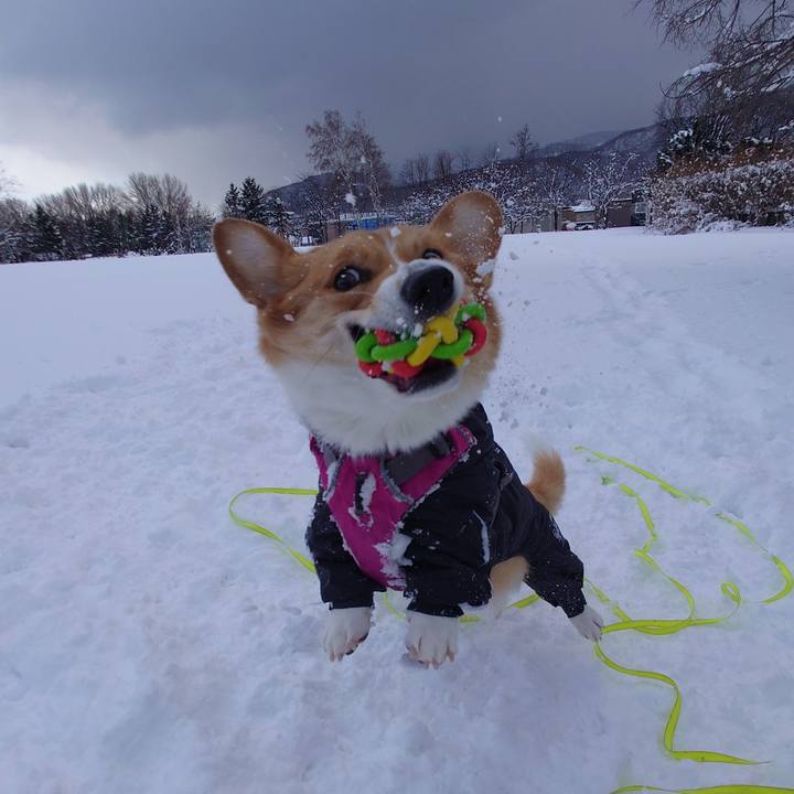 8df39b8f 9630 46d0 8deb b367ba2ac23b 1767337369897