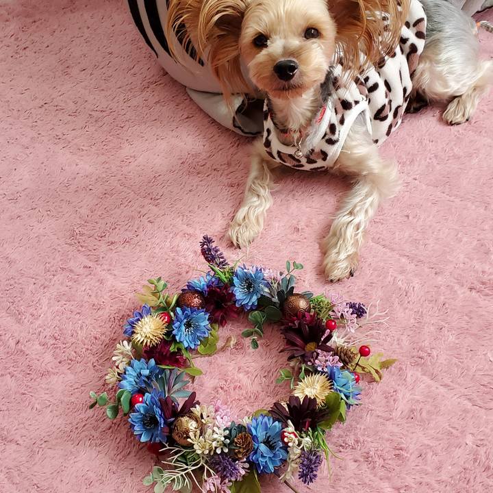 8df3e007 9b31 41a8 8de8 59ea36731ec3 1574497619800