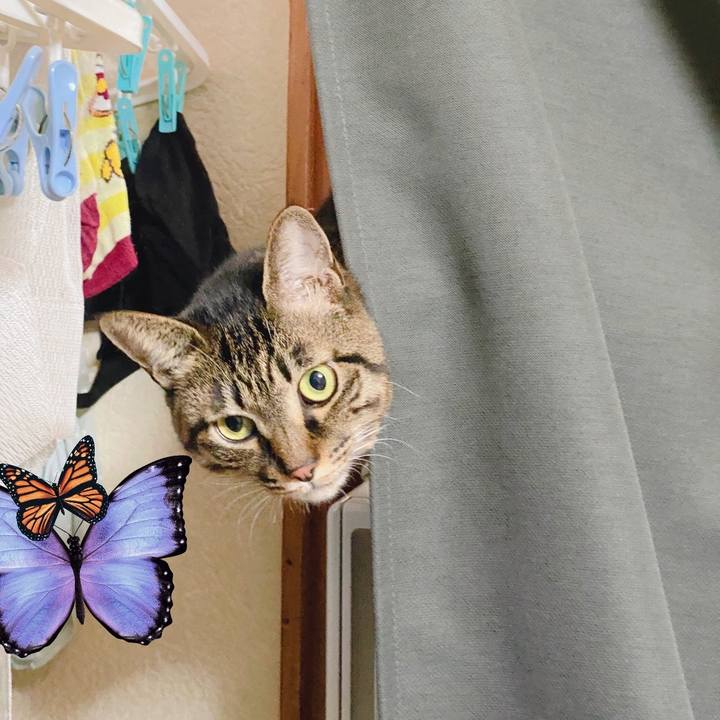 8df3e390 4838 4ef6 8356 e3d425ef5367 1609822609181