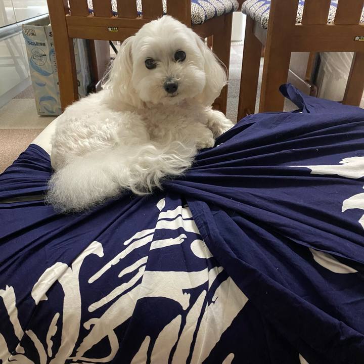 8df3ee8f b173 4e34 94a7 853a13a2f2bd 1622086191037