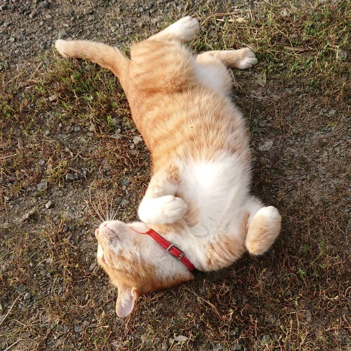 8df41317 7a2f 47f8 80e8 3fbcfebfacc2 1569633796609