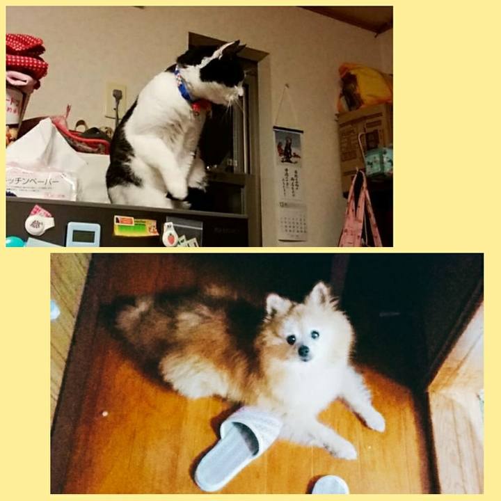 8df43f1f d390 4983 a789 0e98bd1900bf 1560903814759