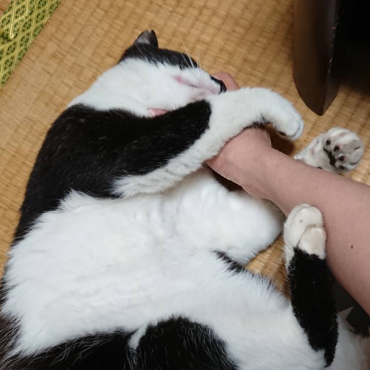 8df441fd b1aa 4f6f a305 d6b03d7e6f70 1526254232543