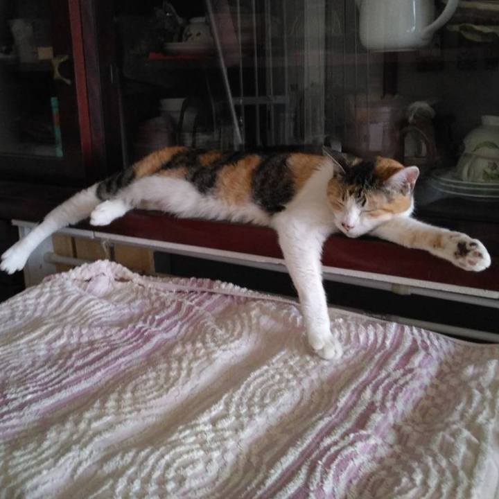 8df44bb8 e03b 4b37 8708 efeef1c46c2e 1714691837185