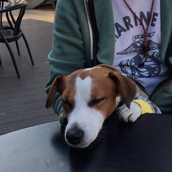 8df452f5 fad2 40b2 b80f 93431db7dc80 1668294528121