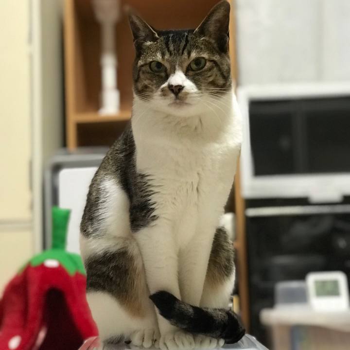 8df498f3 8d2d 42c7 84e0 967ce5078aa1 1522546474501