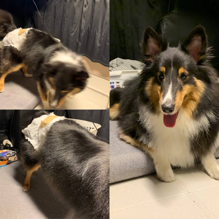 8df4e781 97df 4d60 bb6e b2848b40d01a 1600515715420