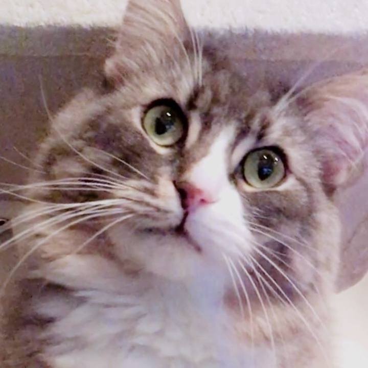 8df4fdda 7290 4a99 81b2 61176846a6f7 1756136610727