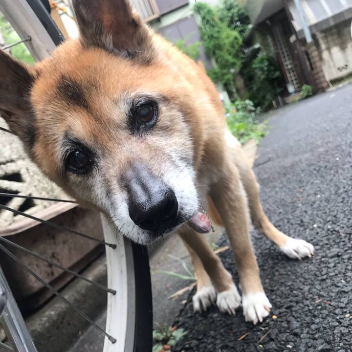 8df505ca 9726 4537 88c0 4dc0e00a02a7 1560205128825