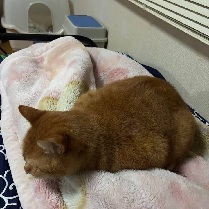 8df53c33 e524 4729 8897 87499a6e416c 1766761599407