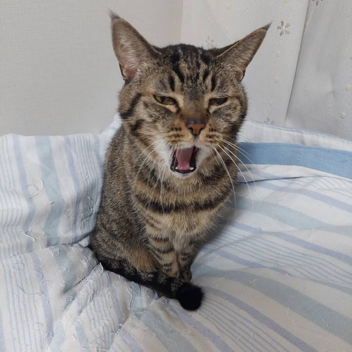 8df541f2 f020 4d6d bf4f 4187afd1b94b 1636666831150