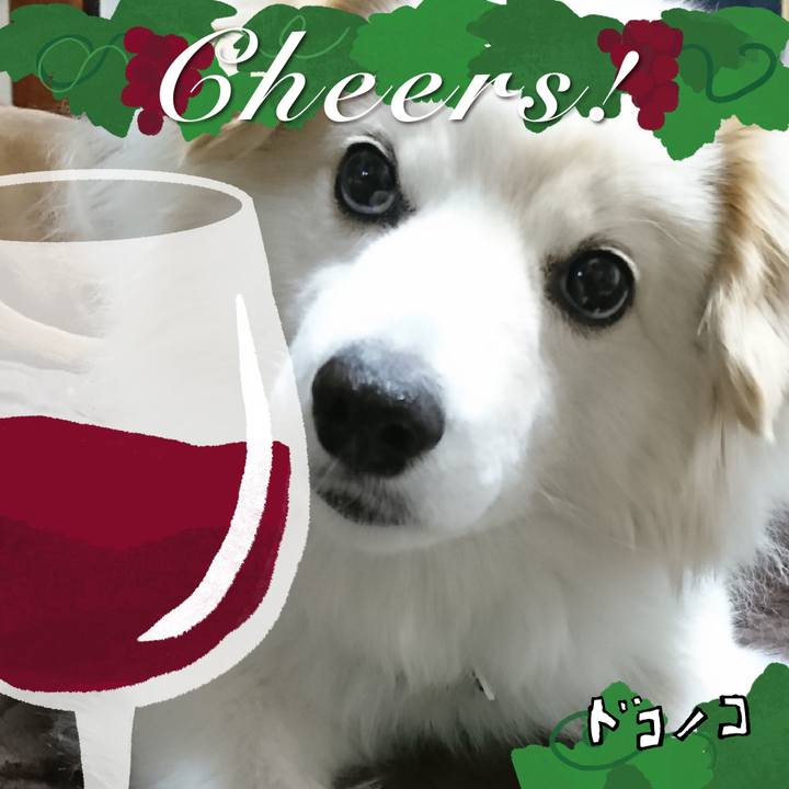 8df560c7 f98a 44a4 b5ef b8cc5c7f8b3c 1761294659925